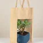 The Green Aura Bag