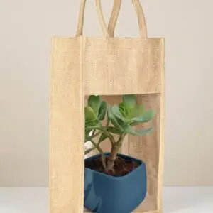 The Green Aura Bag
